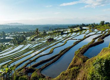 Jatiluwih Rice Terrace | Ubud VW Tour