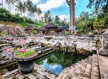Goa Gajah Temple | Ubud VW Tour