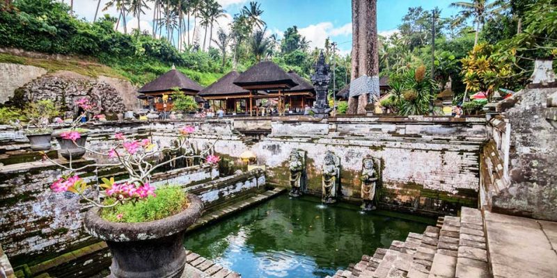 Goa Gajah Temple | Ubud VW Tour